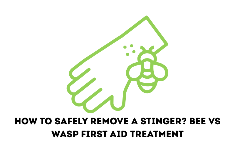 How to Safely Remove a Stinger? Bee vs Wasp First Aid Treatment