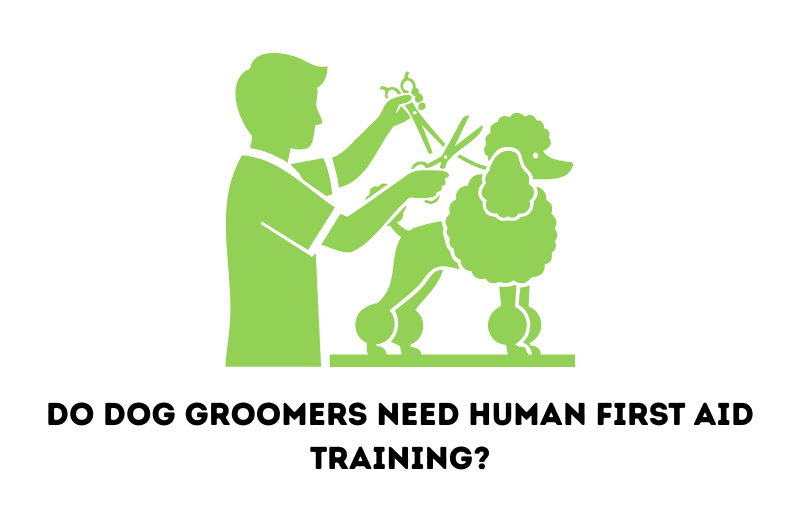 Do Dog Groomers Need Human First Aid Training?